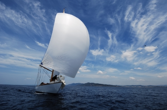 sailing white sailed boat