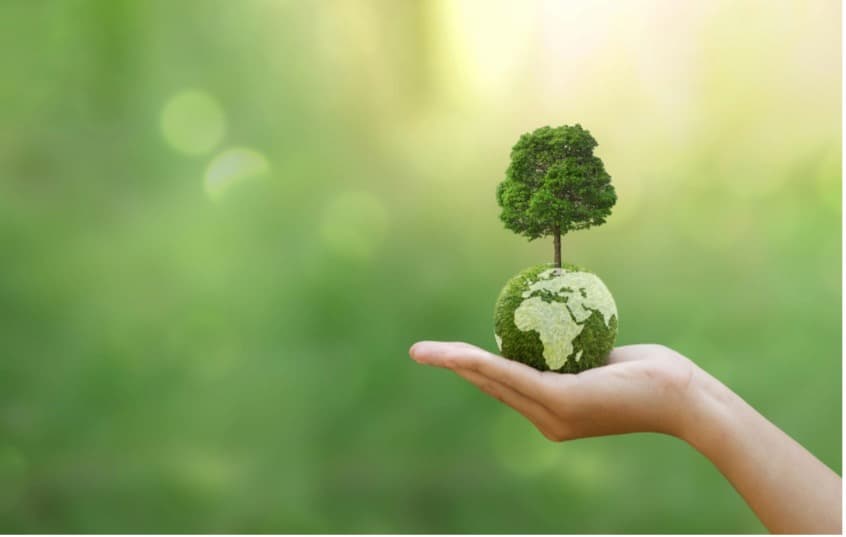 A hand holding a small green planet with a tree growing on it